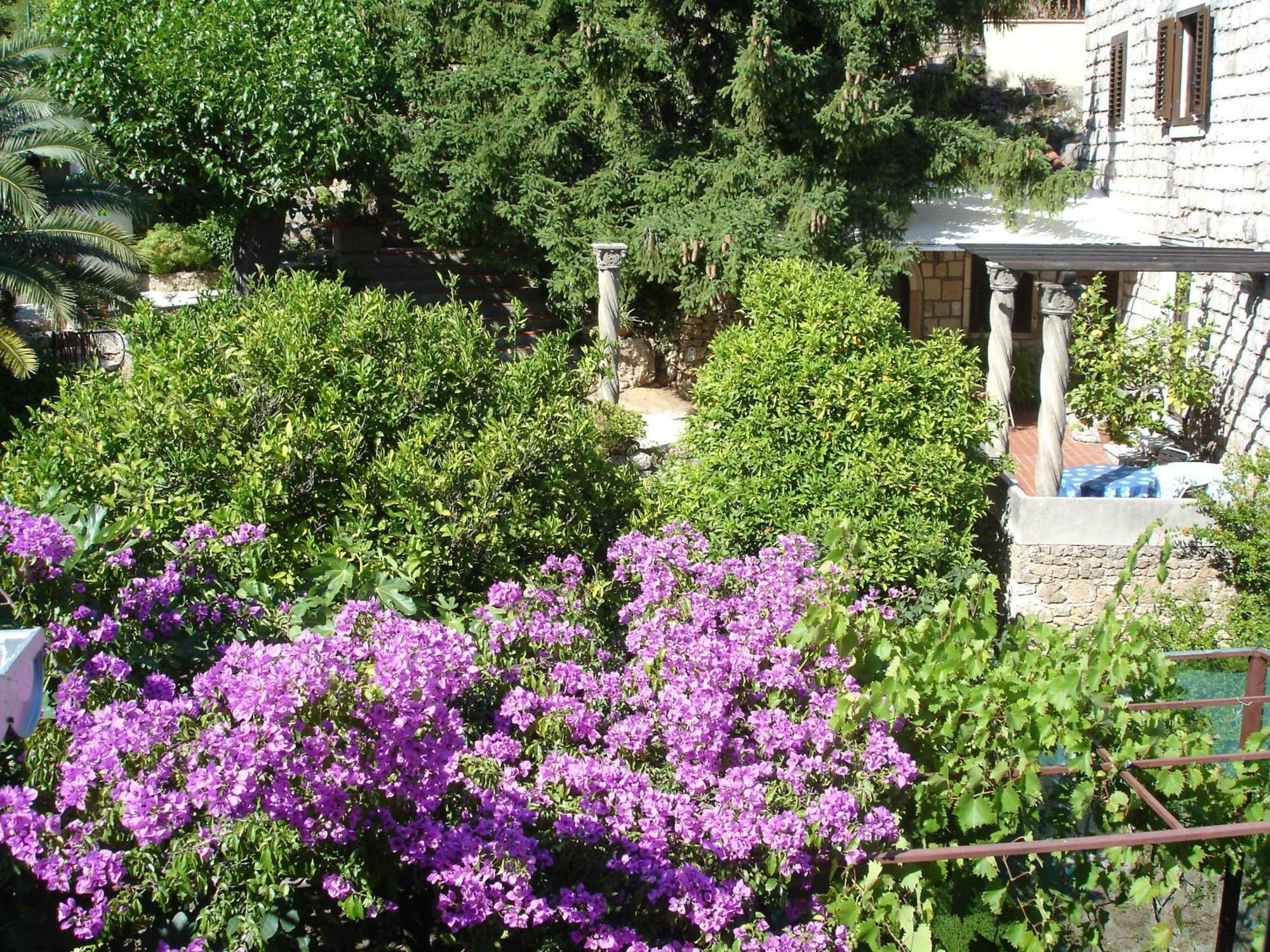 Villa Fede Mlini Extérieur photo
